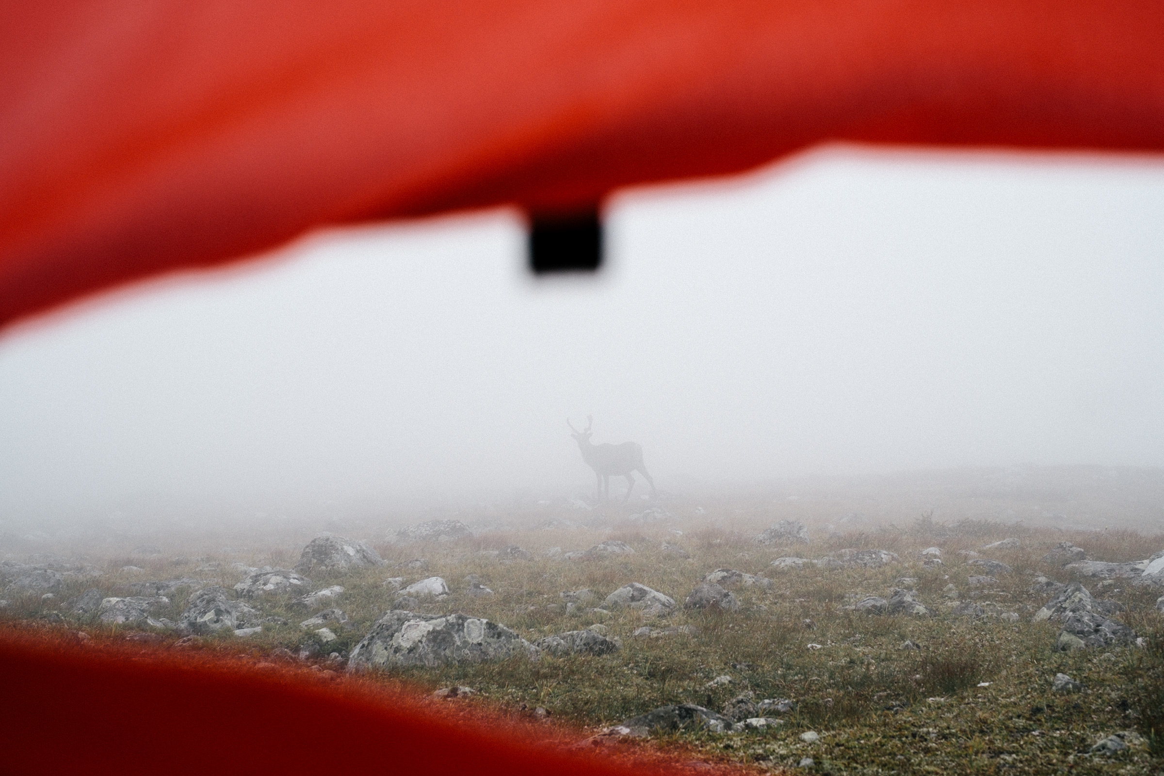 Reisen und Touren, Foto: Martin Hülle