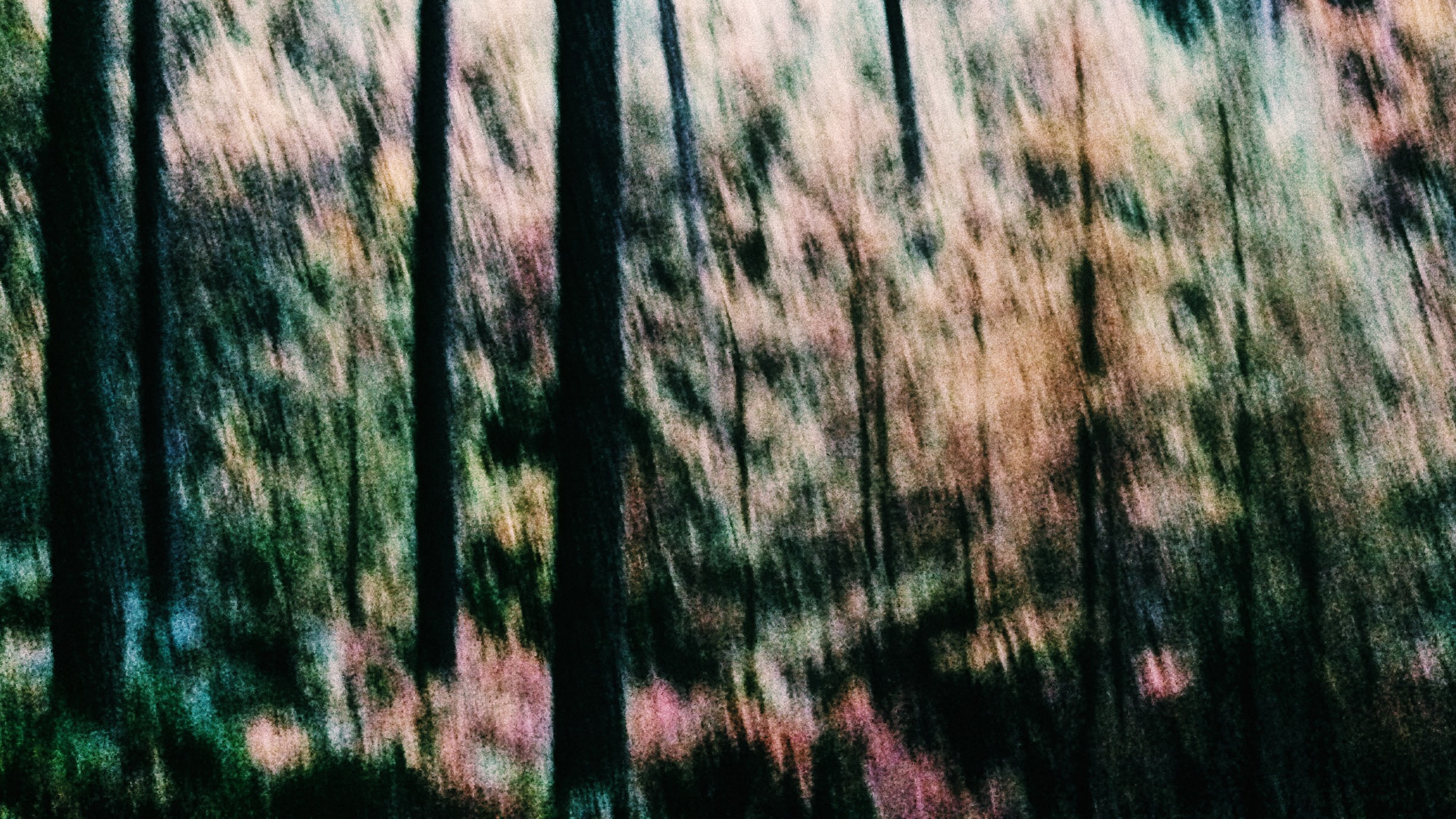 Rund um Langenberg, Foto: Martin Hülle