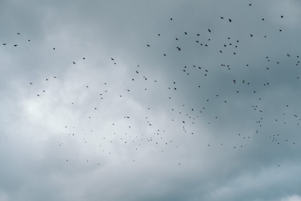 35 mm, Foto: Martin Hülle