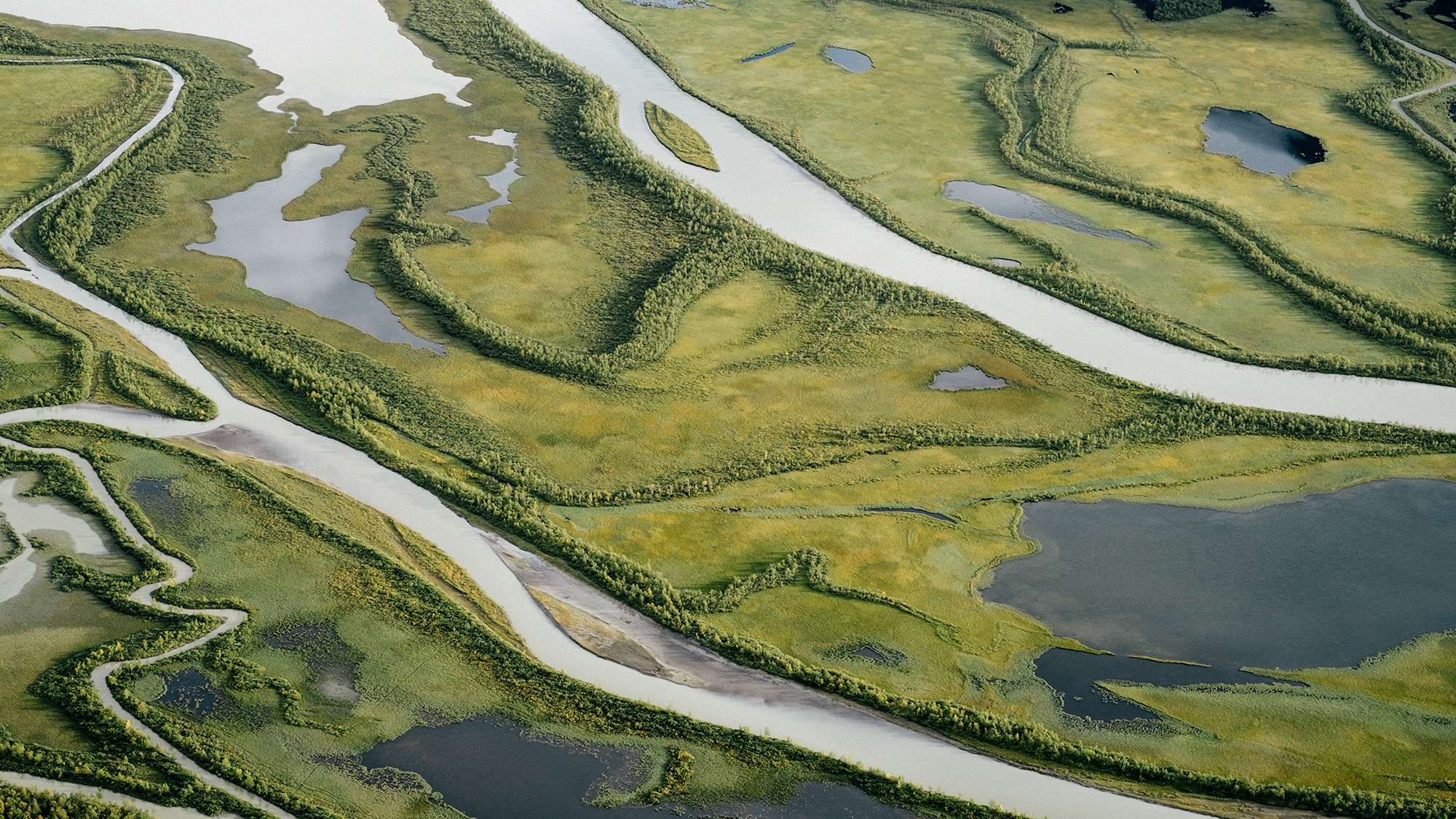 50 mm – Die menschliche Brennweite, Foto: Martin Hülle