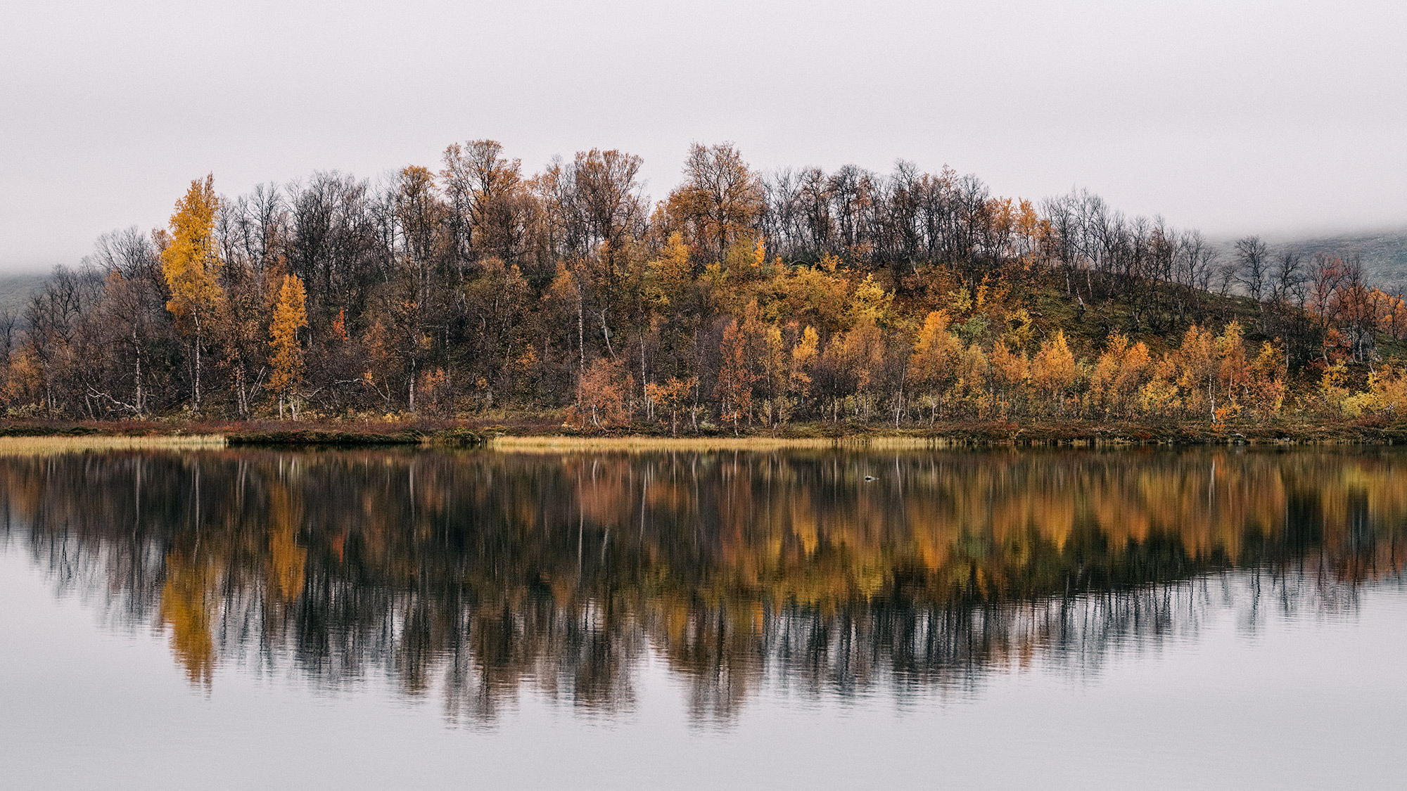 75 mm – Das natürliche Teleobjektiv, Foto: Martin Hülle