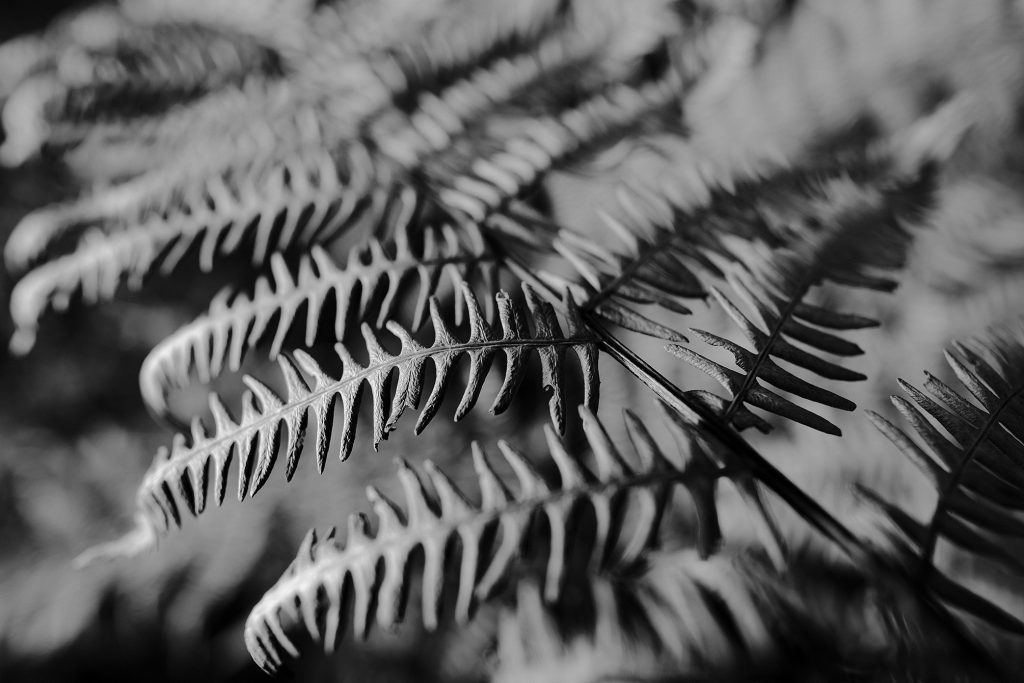 Einzelcoaching Fotografie, Foto: Martin Hülle