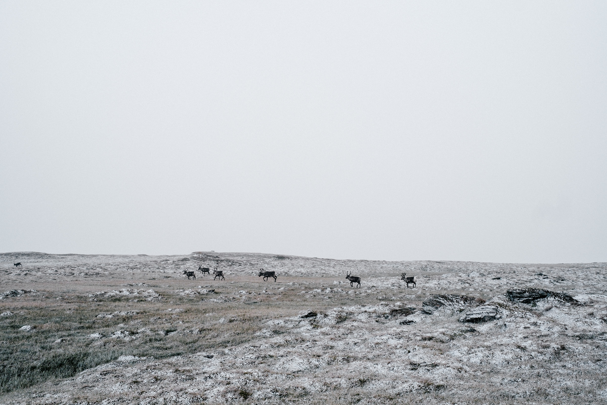 Am Lulep Rissájávrre, Schweden, Foto: Martin Hülle