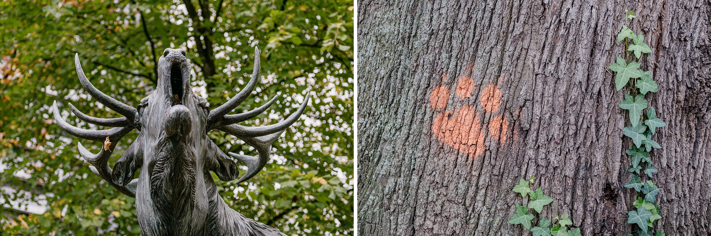 Fotokurs Urbane Naturfotografie, Fotos: Martin Hülle