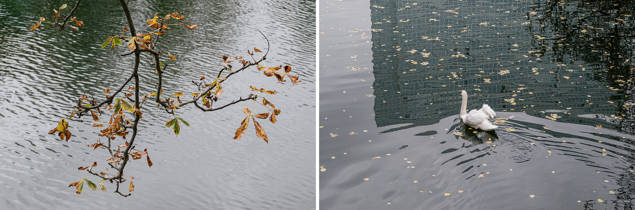 Urbane Naturfotografie, Fotos: Martin Hülle