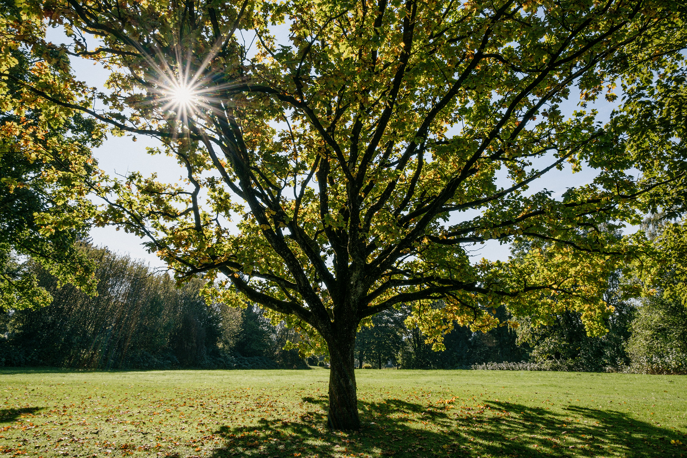 Workshop Urbane Naturfotografie, Foto: Martin Hülle
