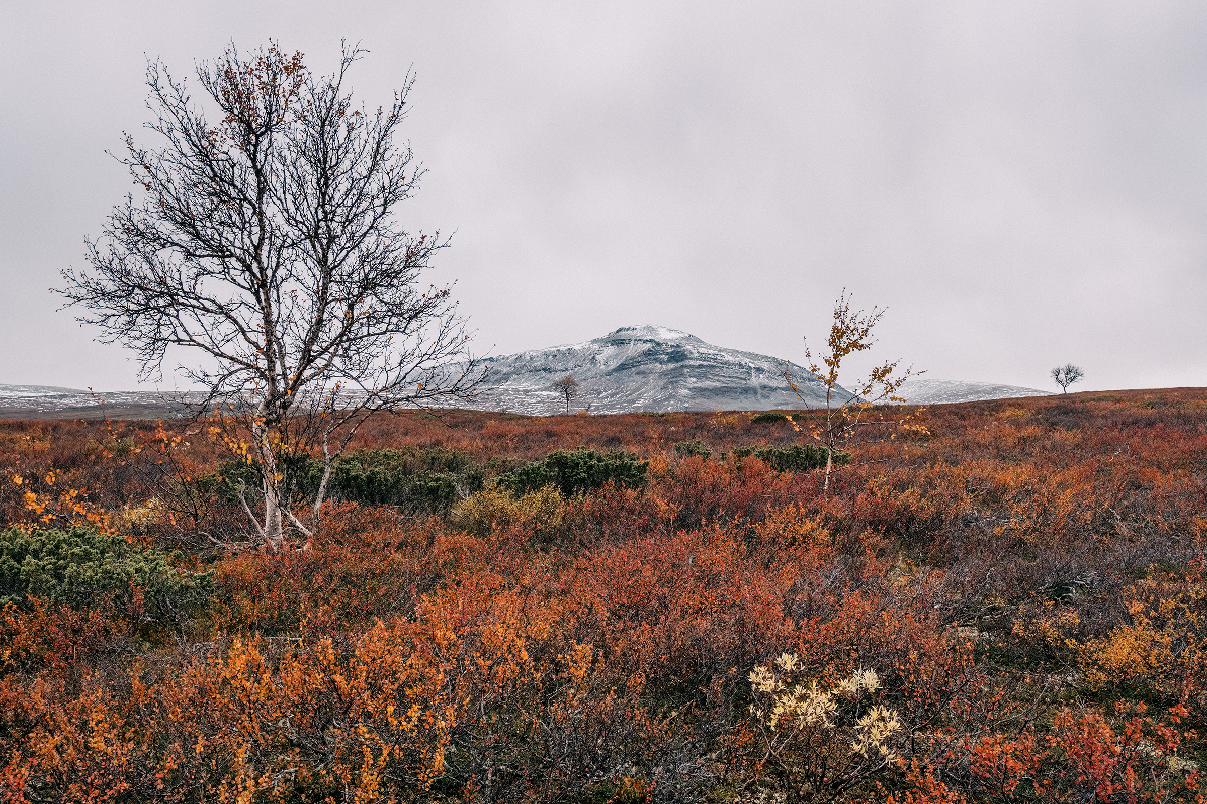 Nordic Retreat Fotoreise – Schweden Edition, Foto: Martin Hülle